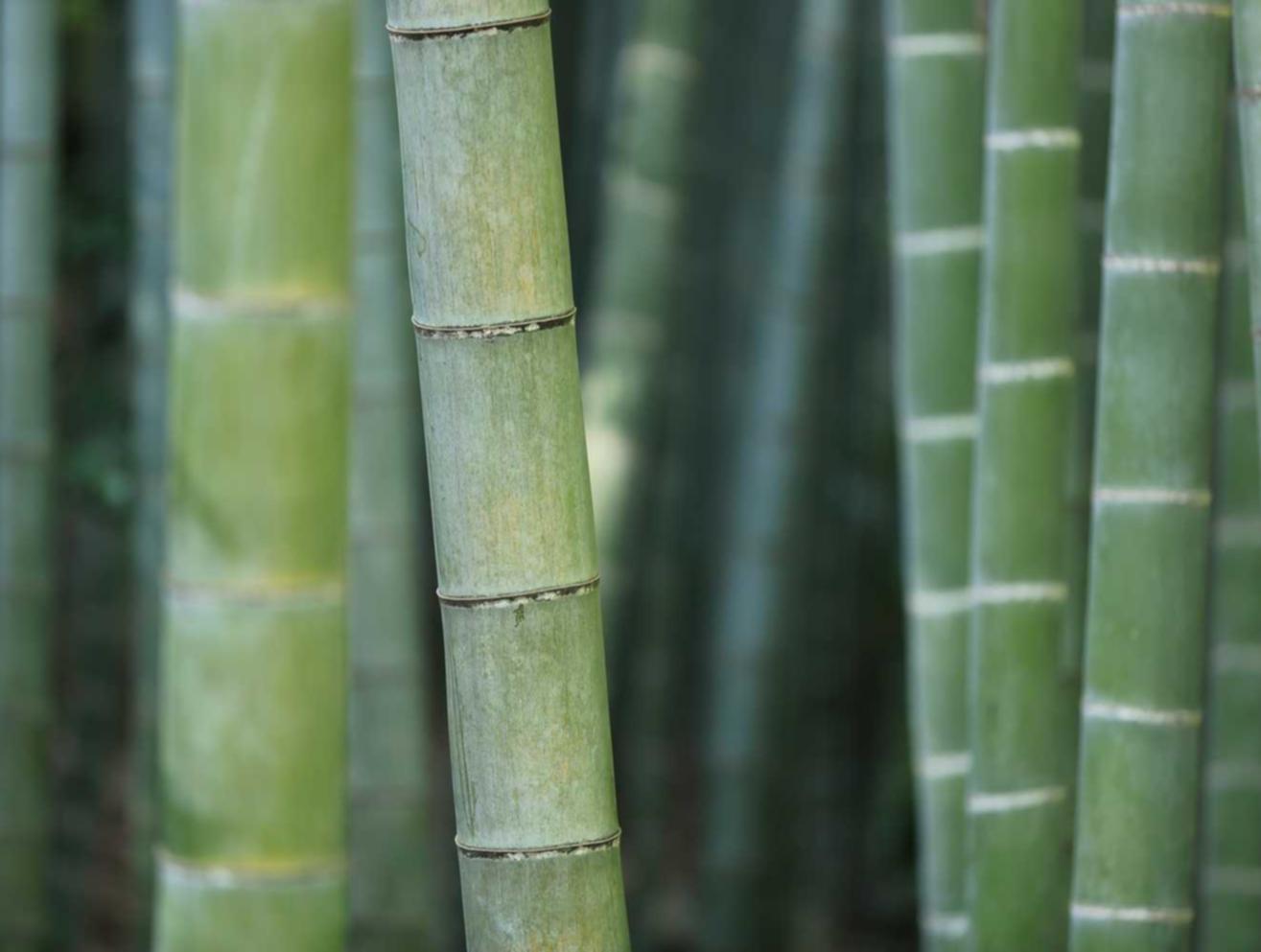 麒麟3娱乐，注册|格来云游戏app详情下载教程