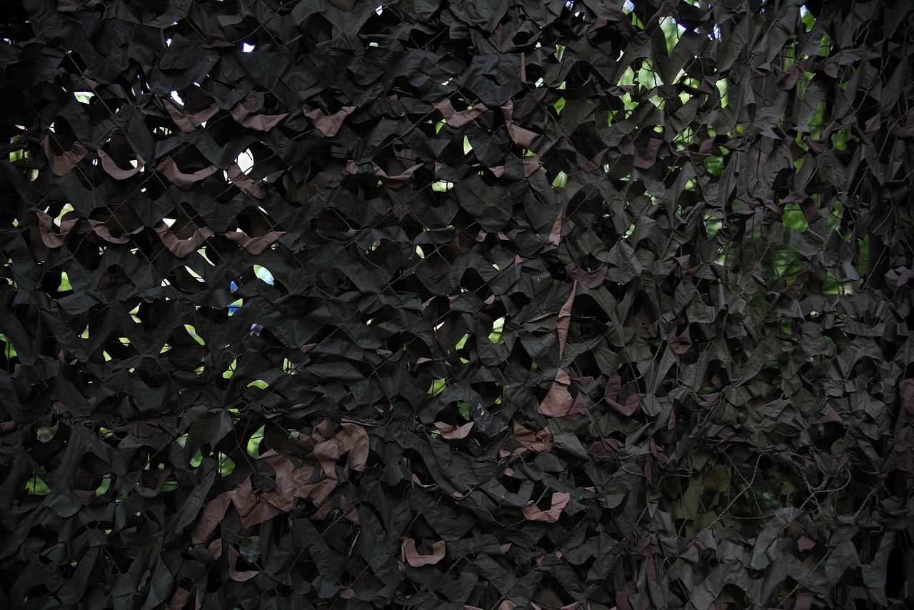 天空传说：爱app详情下载教程软件