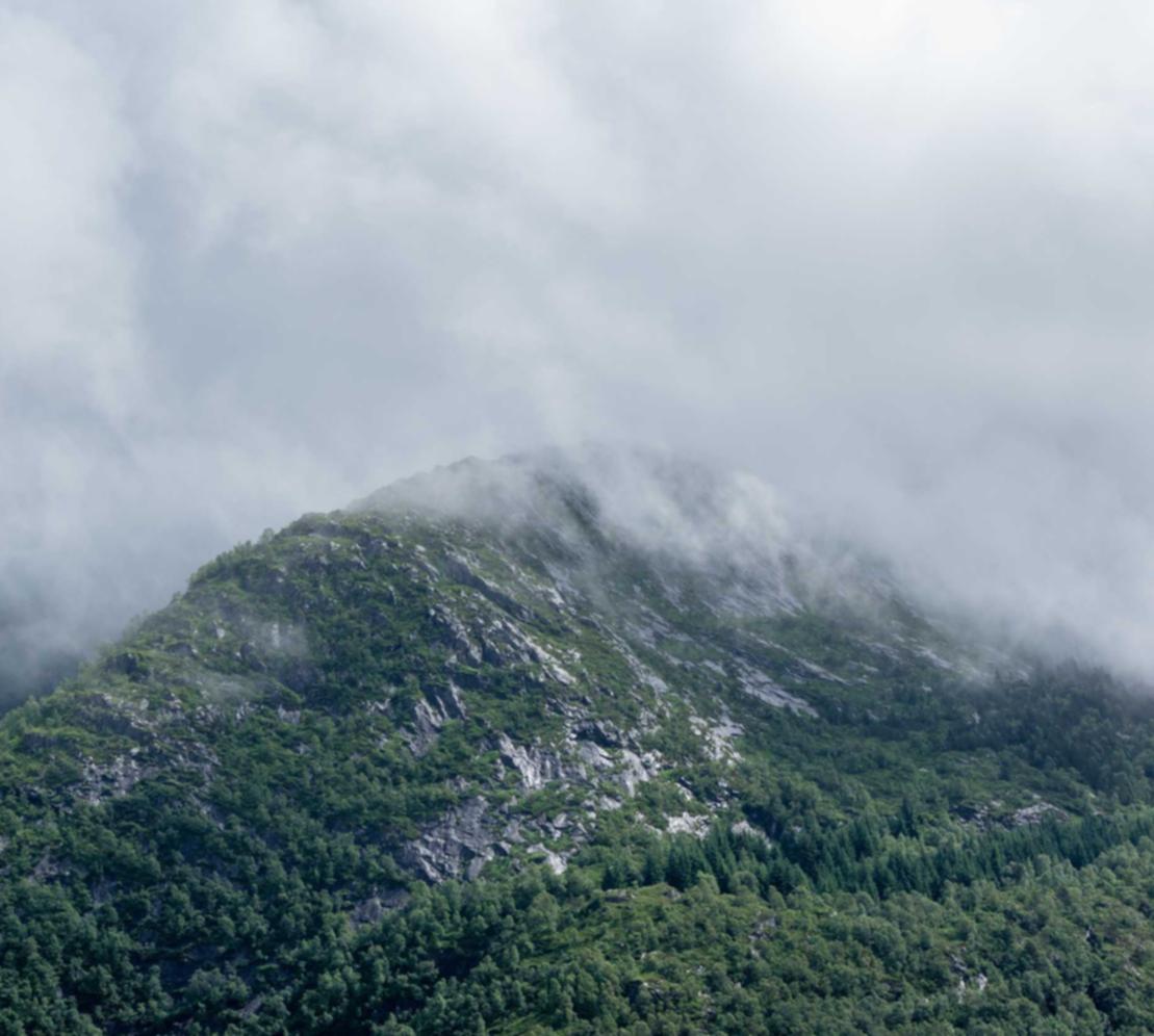 网页DDOS攻击平台|淘宝平台是代理