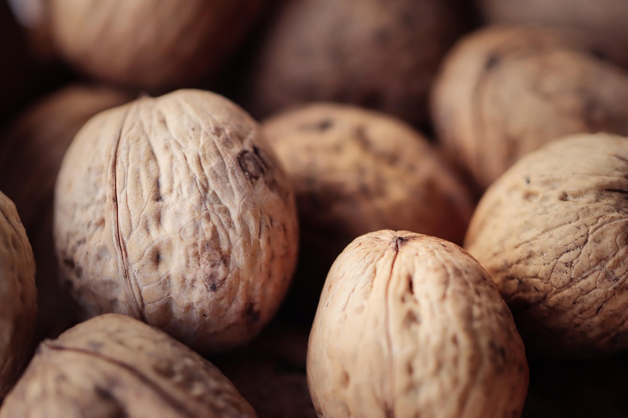 铁盒铁塔猫奶油爆珠：自贸区代理注册哪家强