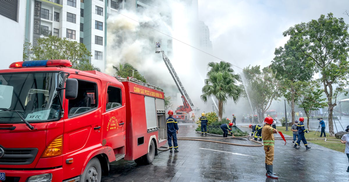 七星柔和9mg：详情下载教程音乐收费app