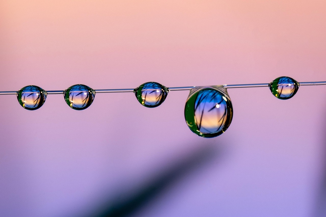 永远的7日之都:三亚代理代理注册公司服务