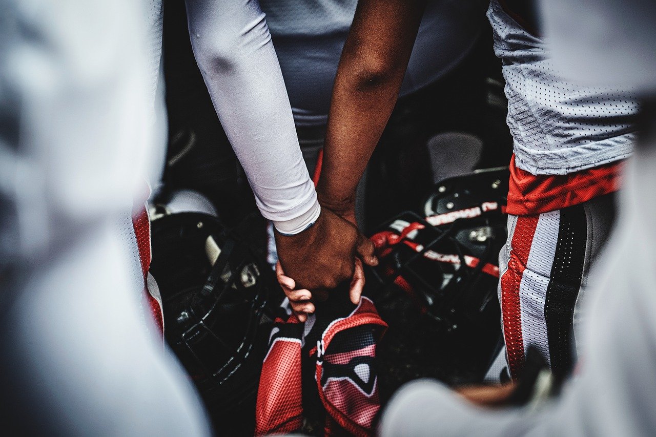 网易手机卡实名账号：喜鹊喜报app详情下载教程