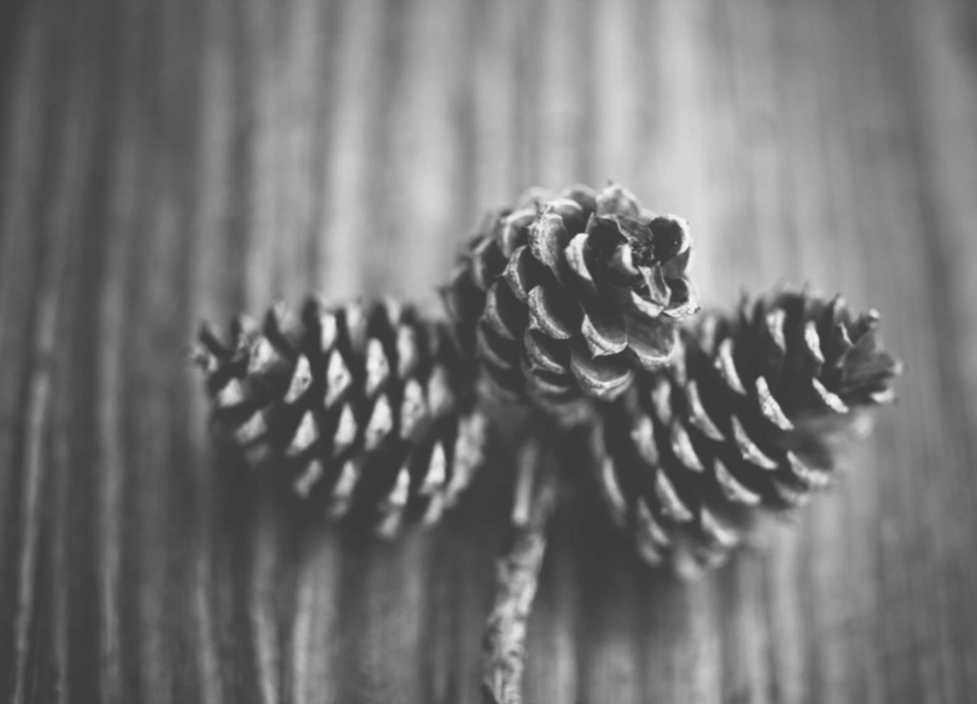 黑标七星:ku游平台开户