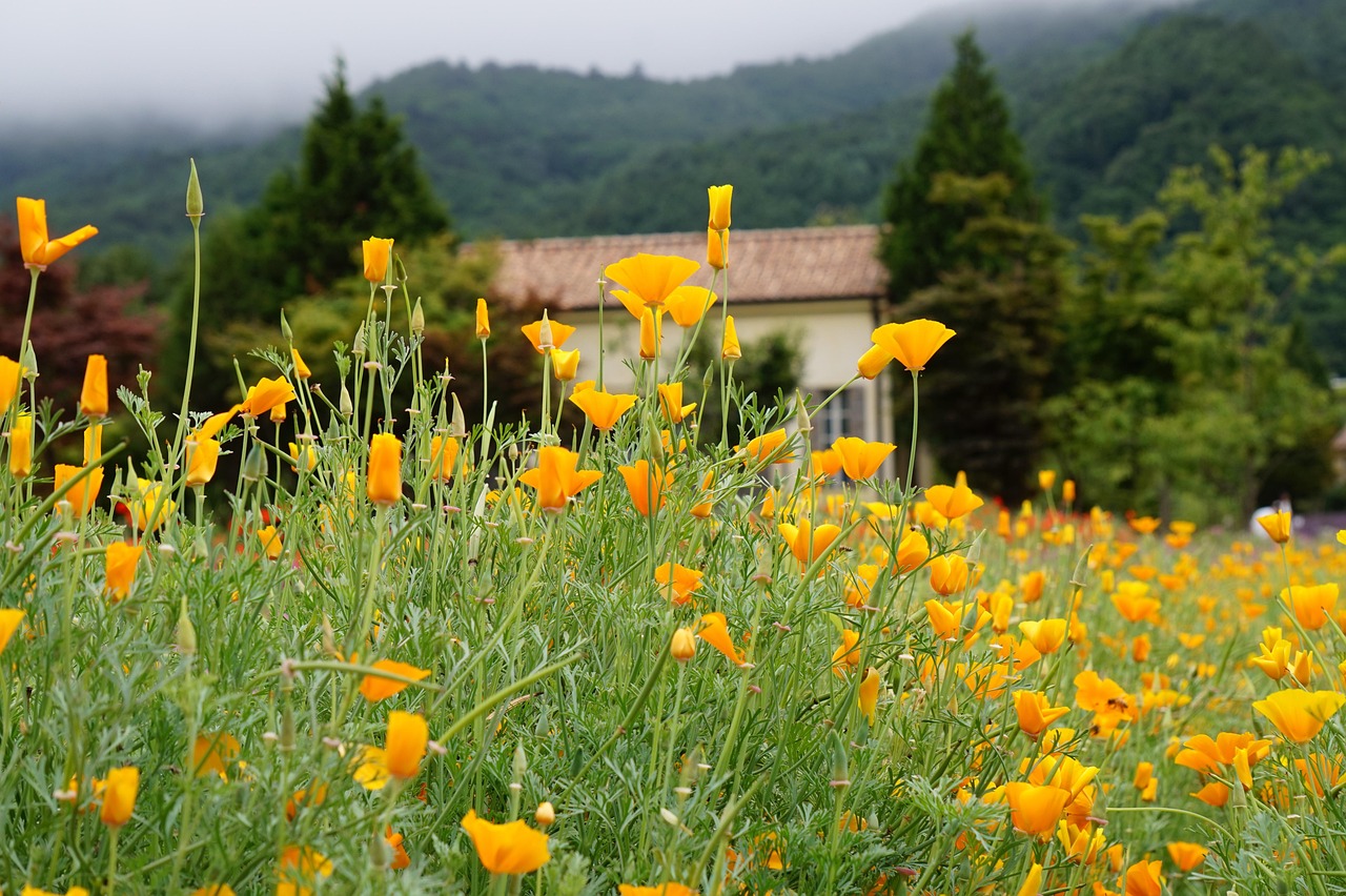 58农服app详情下载教程