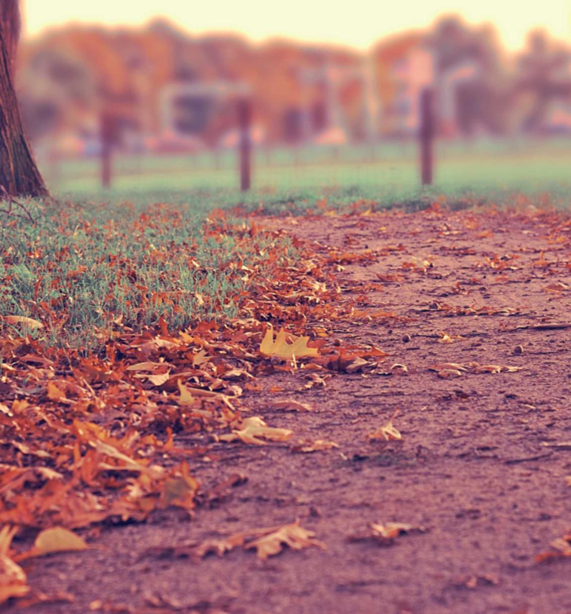 一品天下欢乐棋牌平台代理